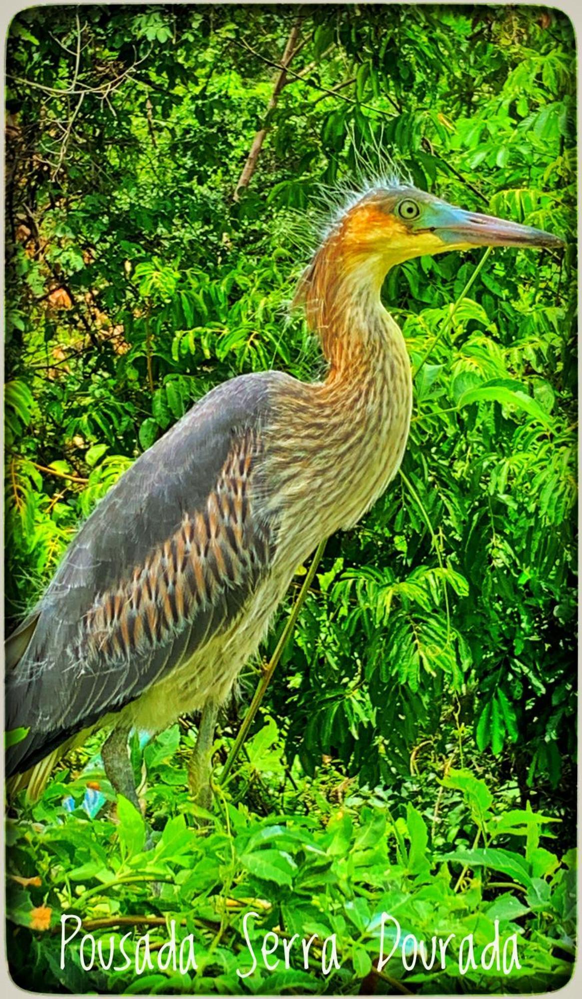 Pousada Serra Dourada Goiás Esterno foto