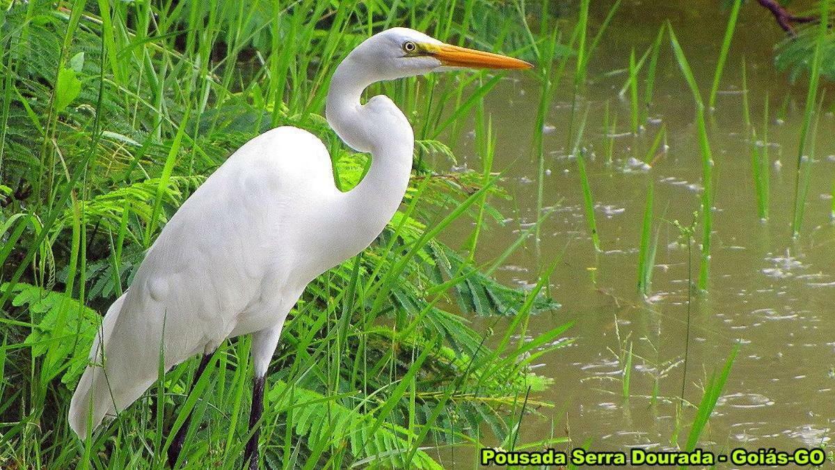 Pousada Serra Dourada Goiás Esterno foto